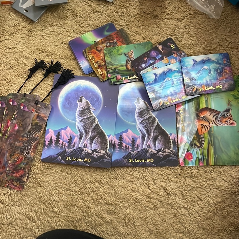 St. Louis souvenirs: 3d magnets, post cards, and bookmarks